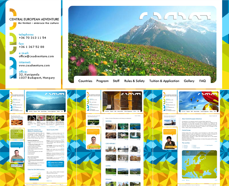 CEA Web Design