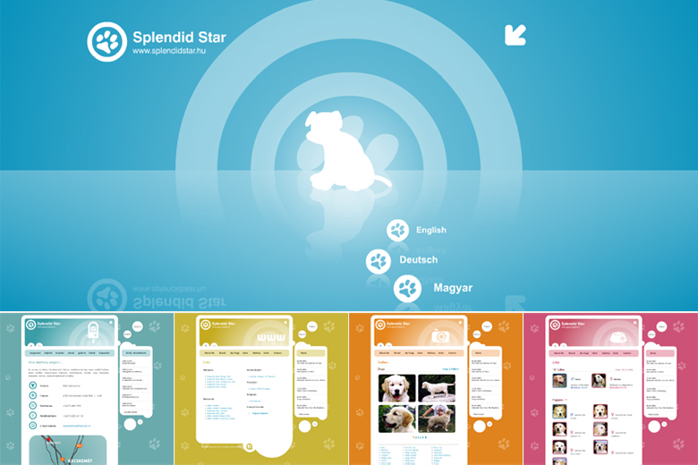 Splendid Star Web Design